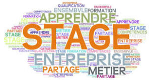 Lire la suite à propos de l’article Stage de collégiens et de lycéens 2025/2026